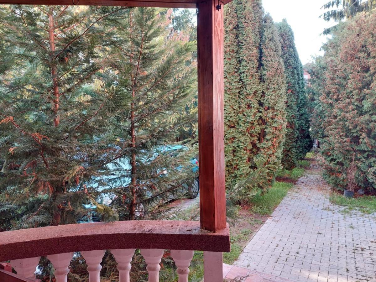 Apartamente Bobo Sîngeorgiu de Mureş المظهر الخارجي الصورة